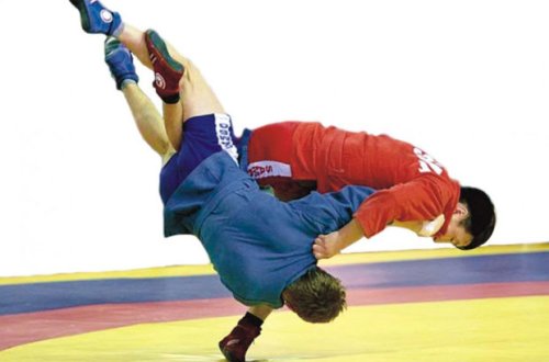 Dünya çempionatında beş samboçu Azərbaycanı təmsil edəcək - ADLAR