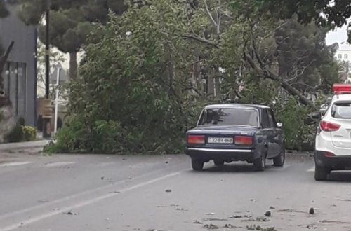 Küləyin fəsadlarından 11 nəfər xəsarət alıb