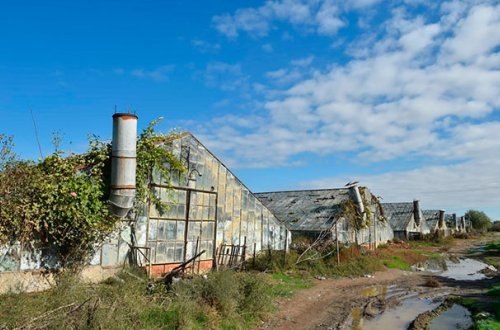 Sudan qanunsuz istifadə halları aşkarlandı - FOTOLAR