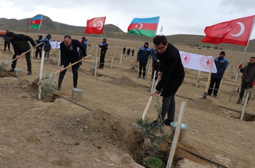 Azərbaycan növbəti dəfə Türkiyənin ağacəkmə aksiyasına qoşuldu - Fotolar