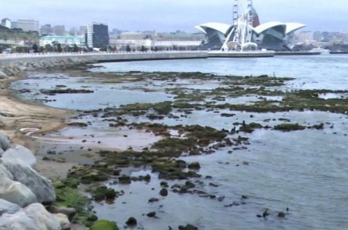 Xəzərin suyu niyə azalır? - Nazirlikdən açıqlama