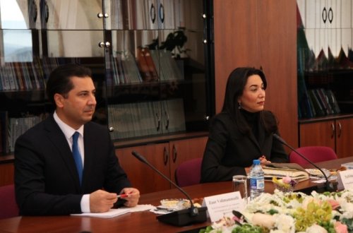 Ombudsman Aİ-nin yeni nümayəndəsini mina problemləri barədə məlumatlandırıb