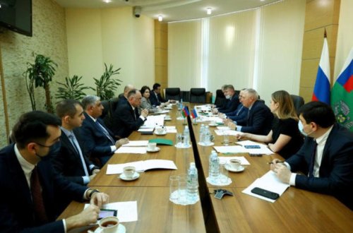 Агентство: Более 200 азербайджанских предприятий могут поставлять томаты в Россию