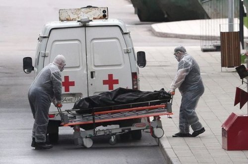 В России зафиксировали новый максимум смертей от COVID-19 за сутки
