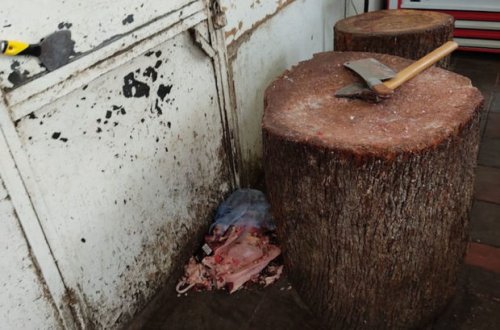 Antisanitar vəziyyətdə fəaliyyət göstərən ət kəsimi məntəqələri aşkarlandı - FOTO