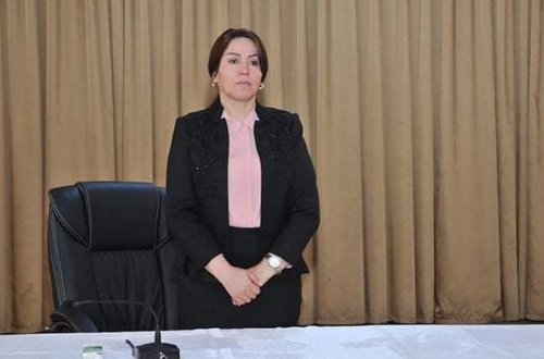 İradə Gülməmmədovanın şirkətlərinin siyahısı yayıldı