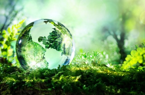 Ölkəmiz də ciddi ekoloji problemlərlə qarşı-qarşıyadır və bu problemlərin həlli üzrə təcili tədbirlər görülməlidir - TƏHLİL