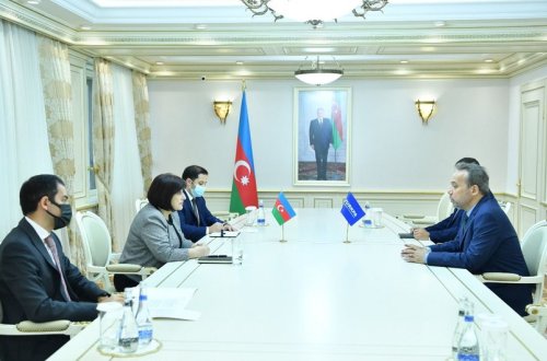 Sahibə Qafarova TÜRKPA-nın baş katibi ilə görüşüb