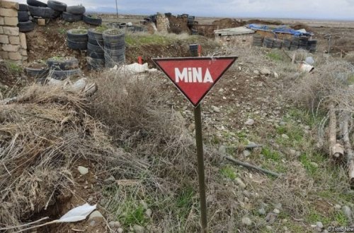 ANAMA-nın qrup rəhbəri Zəngilanda minaya düşdü - Foto