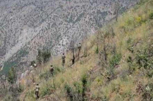 Türkiyə ordusu “Pəncə” əməliyyatlarında 831 terrorçunu məhv edib