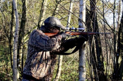 В Зардабе подозреваемый в незаконной охоте ударил прикладом ружья полицейского