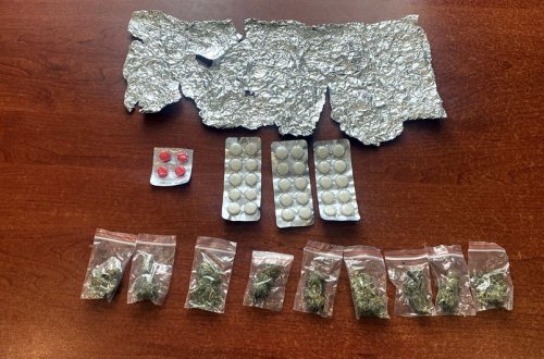 İrandan Azərbaycana narkotik vasitə və psixotrop maddə keçirilməsinin qarşısı alınıb