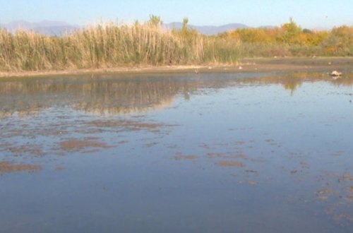 Ermənilər işğal zamanı Həkəri çayının məcrasını dəyişərək üç kəndin ərazisini bataqlığa çevirib - FOTO