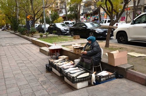 Küçə ticarəti ilə məşğul olanlar cərimələnir - Fotolar