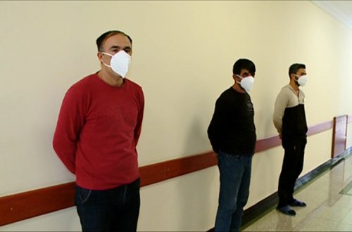 Göygöldə it döyüşdürənlər həbs olundu