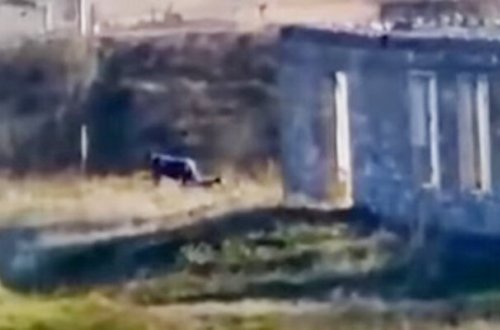 Cəbrayılda minaya düşən fəhlənin görüntüləri