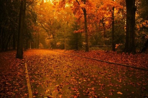 Dekabr ayının hava proqnozu açıqlandı