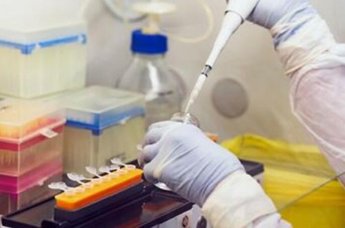 “Omikron” ştamının əsas təhlükəsi AÇIQLANDI