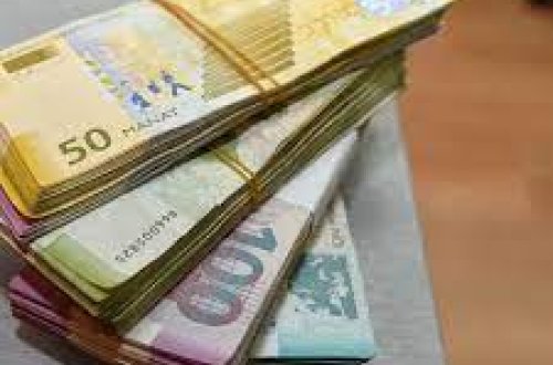 Pandemiyadan zərər çəkmiş fərdi mikrosahibkarlara 113 milyon manat maliyyə dəstəyi verilib