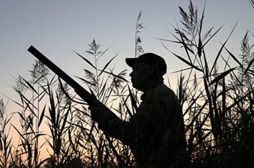 Оштрафованы занимавшиеся незаконной охотой иностранные граждане