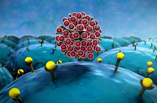 Malaziyada “Omikron” ştamına ilk yoluxma qeydə alınıb