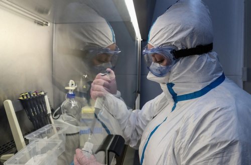 В Азербайджане за сутки коронавирусом заразились 1703 человека