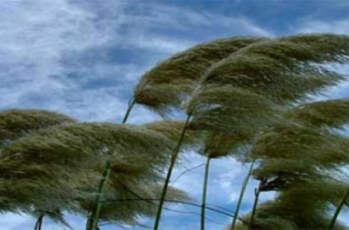 Sabah hava küləkli keçəcək, duman olacaq