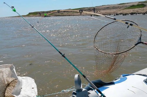 Ov qaydalarını pozanlar cəzalandırıldı