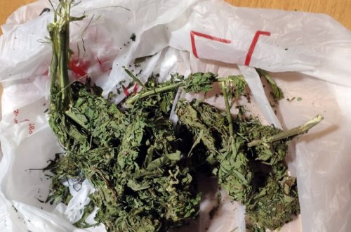 Gürcüstandan ölkəyə narkotik vasitənin keçirilməsinin qarşısı alınıb