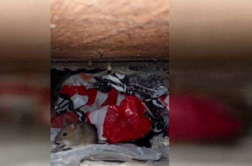 Azərbaycanda biabırçı məktəb binası - Video