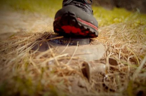 В Дашалты два человека подорвались на мине