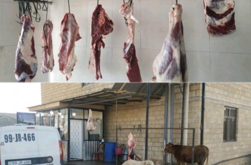 Şəmkirdə qanunsuz heyvan kəsimi məntəqələri aşkarlanıb - FOTO