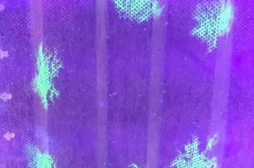 Yaponiya alimləri koronavirusu göstərə bilən maska hazırladı