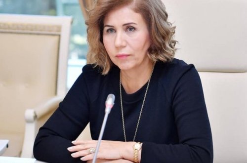 Komitə sədri İmişlidə zorakılığa məruz qalan 11 yaşlı qızın durumunu açıqlayıb