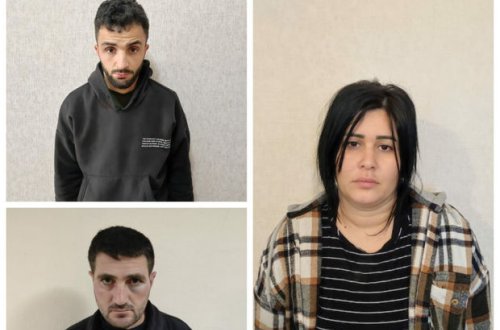 Aralarında qadının da olduğu cinayətkar qrup üç rayonda mal-qara oğurlayıb