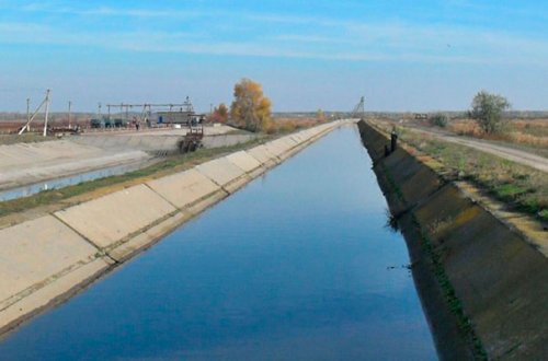 Kanalın kənarında meyit aşkarlandı