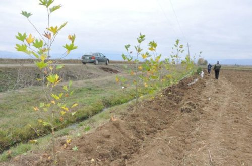 Состоялось очередное заседание Рабочей группы по экологическим вопросам на освобожденных землях Азербайджана