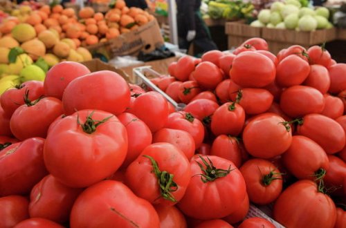 Rusiyada Azərbaycandan ixrac olunan pomidorların keyfiyyətindən danışıldı
