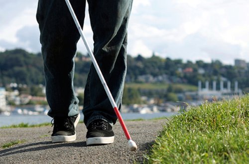 Özünü kor kimi qələmə verib 192 min dollar mənimsədi