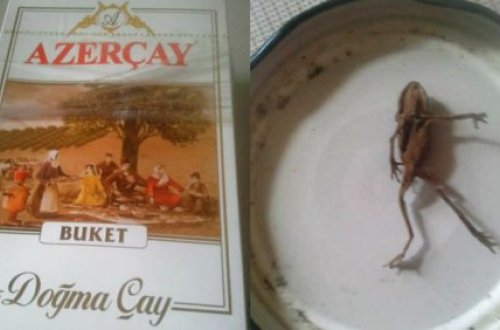 “Azerçay”ın içindən qurbağa çıxıb? - FOTO