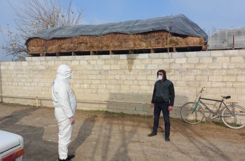 Sabirabadda koronavirus xəstəsinin törətdiyi əməl araşdırılır