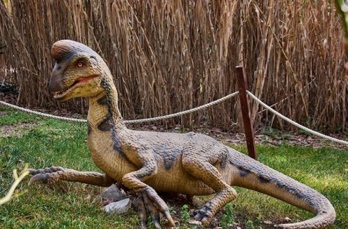 Çində dinozavra aid yumurta tapılıb