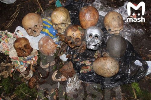 Balıq tutmağa gedən kişilər göl kənarında 10 ədəd kəllə sümüyü tapdı - FOTO