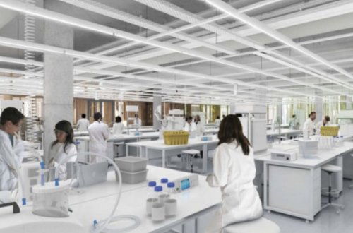 Университет Оксфорда и AstraZeneca приступили к разработке варианта вакцины от 