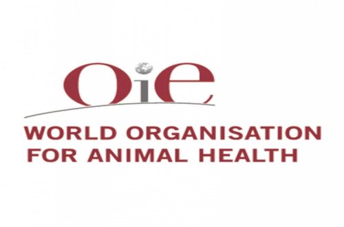 Bir sıra ölkələrdən diri quşların Azərbaycandan tranziti məhdudlaşdırılıb