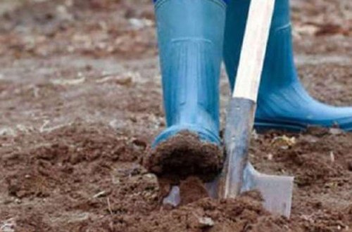 Kilsənin həyətini qazdı, heyrətə gəldi - Torpağın bir neçə santimetr altında... - FOTO