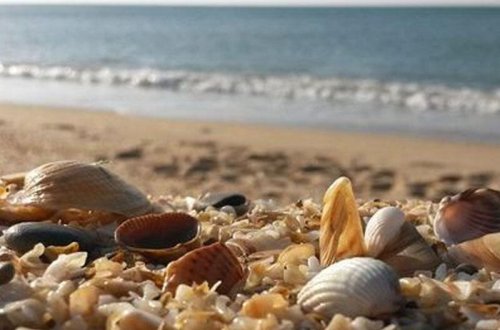 Xəzər dənizi ilə bağlı həyəcan təbili: belə gedərsə... - VİDEO