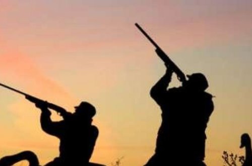 Zərdabda qanunsuz ov edən şəxs saxlanıldı