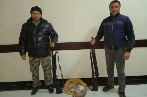 Bakıdan Cəlilabadda qanunsuz ov etməyə gedən şəxslər saxlanılıb