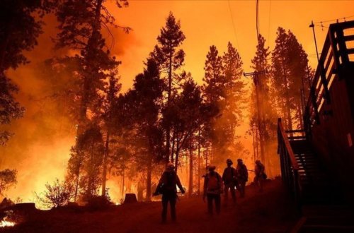 ABŞ-da meşə yanğını nəticəsində 580 ev yanıb, on minlərlə insan təxliyə edilib